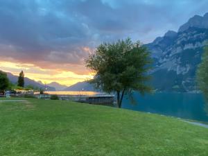 Maisonette im Penthouse-Stil ca 145m2 mit viel Privatsphäre - direkt am Walensee mit Badestrand