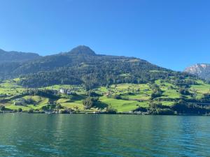 Maisonette im Penthouse-Stil ca 145m2 mit viel Privatsphäre - direkt am Walensee mit Badestrand