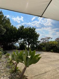 Casa vacanze Piedigrotta