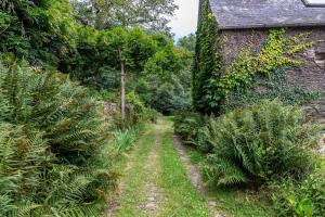 Maisons de vacances Moments d exception dans cette maison entouree de verdure : photos des chambres