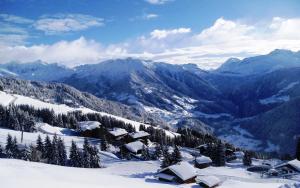 Appart'hotels Le Chalet de Bisanne : photos des chambres