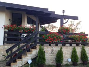 Cirex Delta Club Sulina