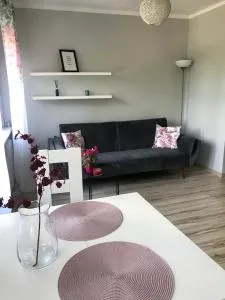 Apartament Pan Tadeusz - Wójtowo