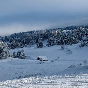 Chalets Chalet le Lagopede : photos des chambres