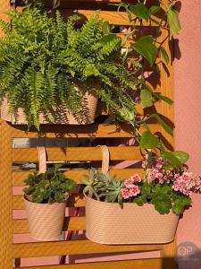 115 OPorto Guest House