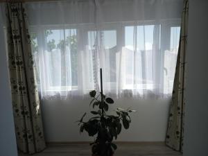 Apartament Alyn