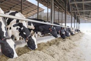 Huis Potaerde, vakantiewoning op boerderij - luxe landhuis nabij Brussel