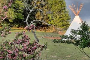 Tentes de luxe Tipi avec animaux pour famille nature : photos des chambres