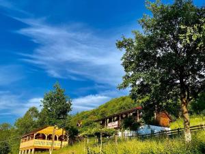 Floare de Maramures 2