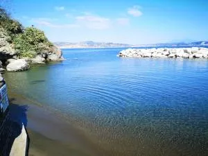 ALMA FLEGREA - باكولي