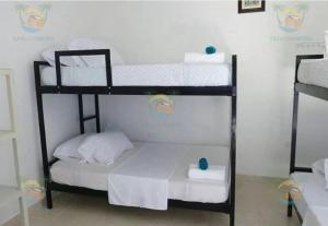 host Casa Don Arturo