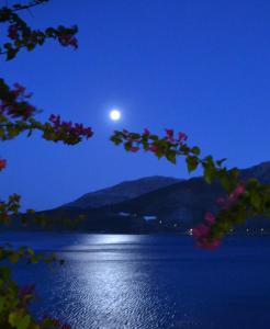 Ilidi Rock Aparts-Suites-Studios Tílos Greece