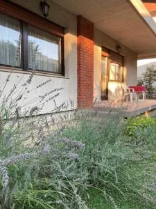 Studio apartman NINA - Križ