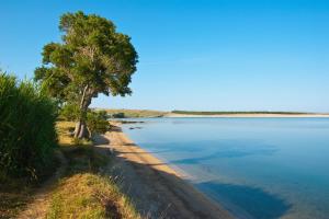 Apartments by the sea Povljana, Pag - 6561