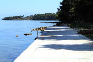 Apartments with parking space Molat - 6249