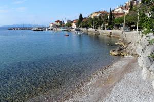 Apartments by the sea Opatija - Volosko, Opatija - 7845