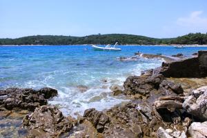 Apartments by the sea Artatore, Losinj - 7935