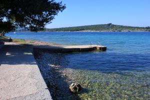 Apartments with WiFi Ilovik, Losinj - 8078