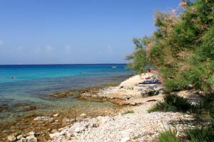 Apartments with a parking space Susica, Ugljan - 8467