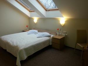 Double Room room in Hotel Audenis