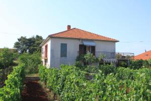 Apartments by the sea Ugljan - 8264