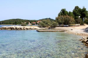 Apartments by the sea Ugljan - 8264