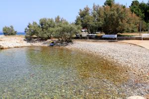 Apartments by the sea Ugljan - 8264