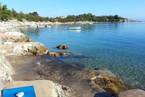 Apartments by the sea Ugljan - 11820