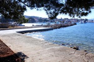 Apartments by the sea Ilovik, Losinj - 12275