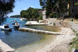 Apartments with a parking space Mali Losinj (Losinj) - 12551