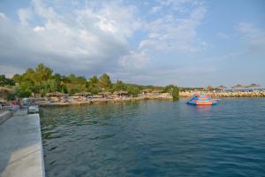 Apartments by the sea Mandre, Pag - 12567 
