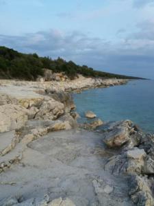 Apartments with a parking space Lun, Pag - 13022