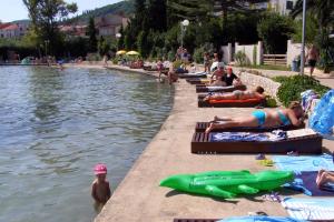 Family friendly apartments with a swimming pool Sutomiscica, Ugljan - 13872