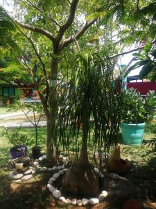 Hacienda San Miguel