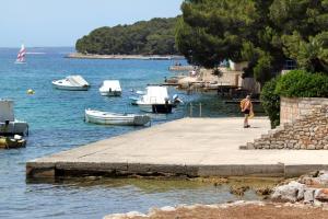 Apartments with a parking space Mali Losinj (Losinj) - 15858 