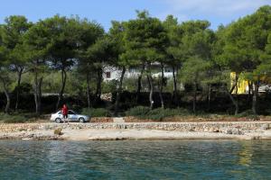 Apartments by the sea Cove Mala Lamjana, Ugljan - 16481