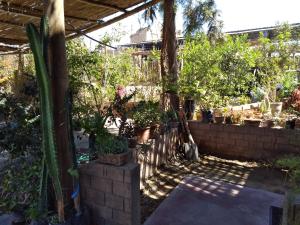 Habitación 2p independiente desde el jardin - Tierra del Sol Eterno - Ica Centro