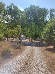 Bungalow Sobre Águas Camping