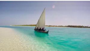 Ocean Voice Beach Resort & Diving