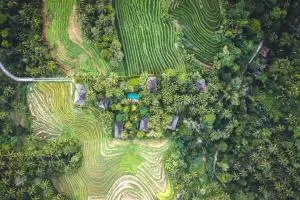 丁香树山度假屋 - Blimbing