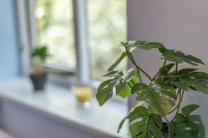 Comfortable 3 bedroom home with parking and garden - East Oxford (Hosted by Star Stays LTD)