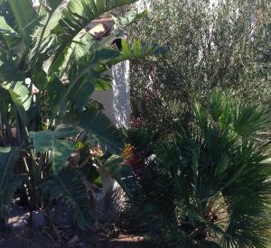 Villa Verde Guest House img14