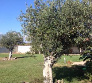 Villa Verde Guest House img15