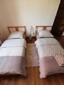 Apartamenty Jeziorna 8 z widokiem na Czos