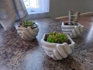 Our Place - Family - 5 bed unit