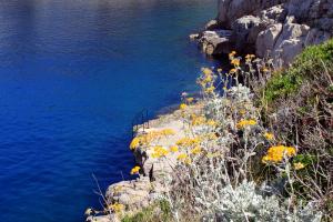 Rooms with a parking space Veli Losinj, Losinj - 19743 