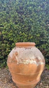 la limonaia