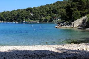 Apartments with a parking space Mali Losinj, Losinj - 19825