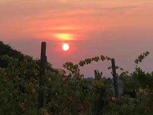 IL NIDO DELLA POIANA CASA VACANZE e B & B