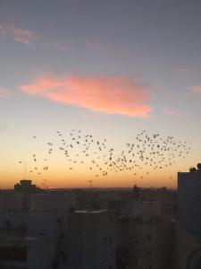 Hermosos atardeceres …